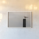 Watching the rain Fall by Nathan Larson. shown as a paper print in a white frame. Available as a archival giclee rolled canvas, fine art paper, or poster print. SKU 97448i.