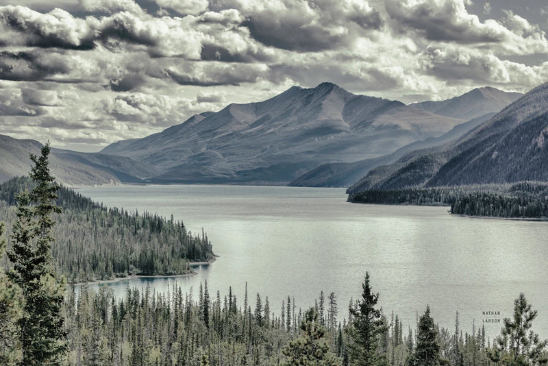 Water Curve by Nathan Larson