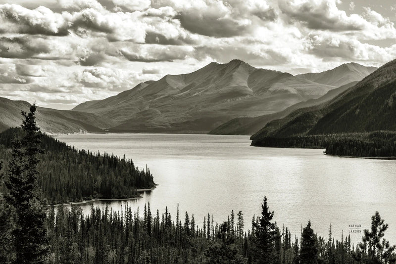 Water Curve BW by Nathan Larson