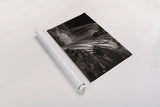 Water Light I Sepia by Nathan Larson. shown as a rolled paper print. Available as archival giclee rolled canvas, fine art paper, or poster print. SKU 103793i.