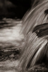 Water Light II Sepia by Nathan Larson. SKU 103795h. Archival Giclee Fine art print for wall decor.