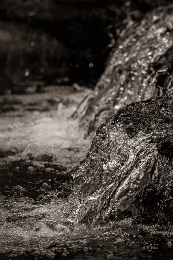 Water Light III Sepia by Nathan Larson. SKU 103797h. Archival Giclee Fine art print for wall decor.