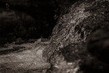 Water Light IV Sepia by Nathan Larson. SKU 103799i. Archival Giclee Fine art print for wall decor.