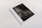 Water Light IV Sepia by Nathan Larson. shown as a rolled paper print. Available as archival giclee rolled canvas, fine art paper, or poster print. SKU 103799i.