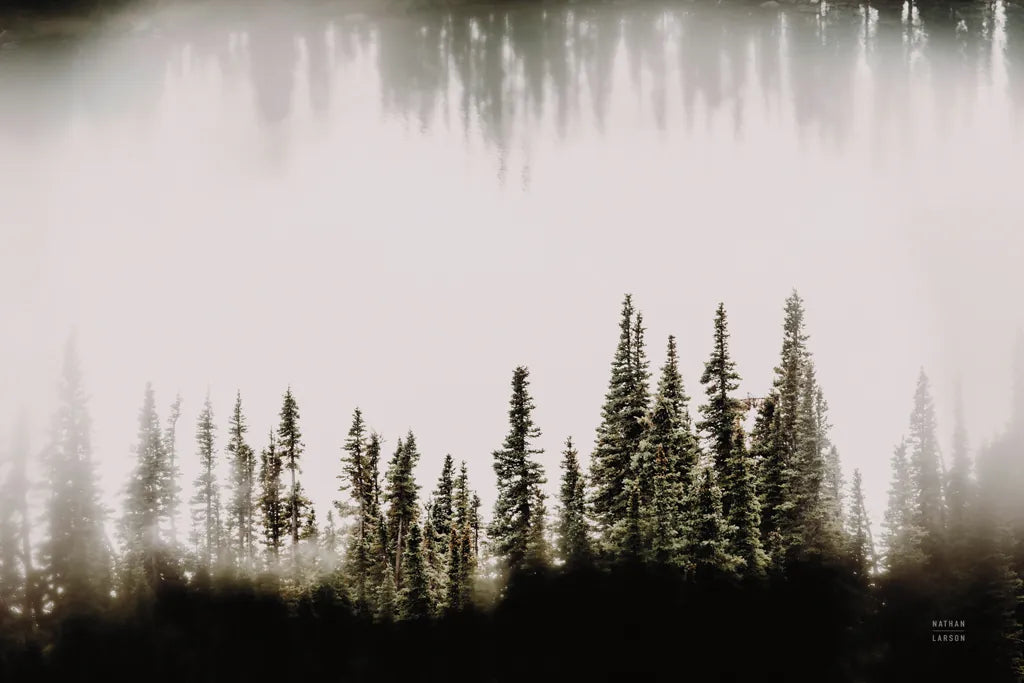 Waterwood by Nathan Larson. SKU 90446i. Archival Giclee Fine art print for wall decor.