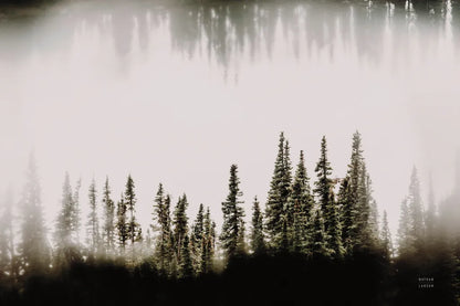 Waterwood by Nathan Larson. SKU 90446i. Archival Giclee Fine art print for wall decor.