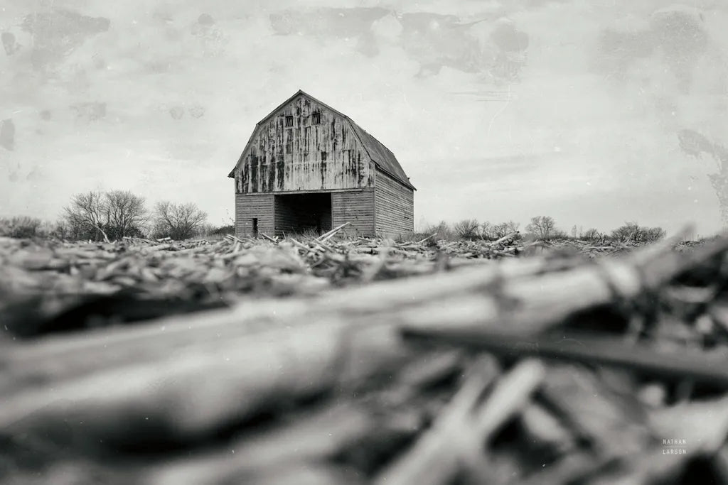 Weathered by Nathan Larson. SKU 98507i. Archival Giclee Fine art print for wall decor.