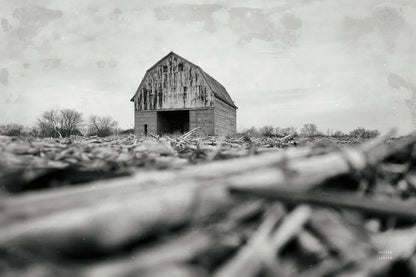 Weathered by Nathan Larson. SKU 98507i. Archival Giclee Fine art print for wall decor.