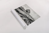 Weathered by Nathan Larson. shown as a rolled paper print. Available as archival giclee rolled canvas, fine art paper, or poster print. SKU 98507i.