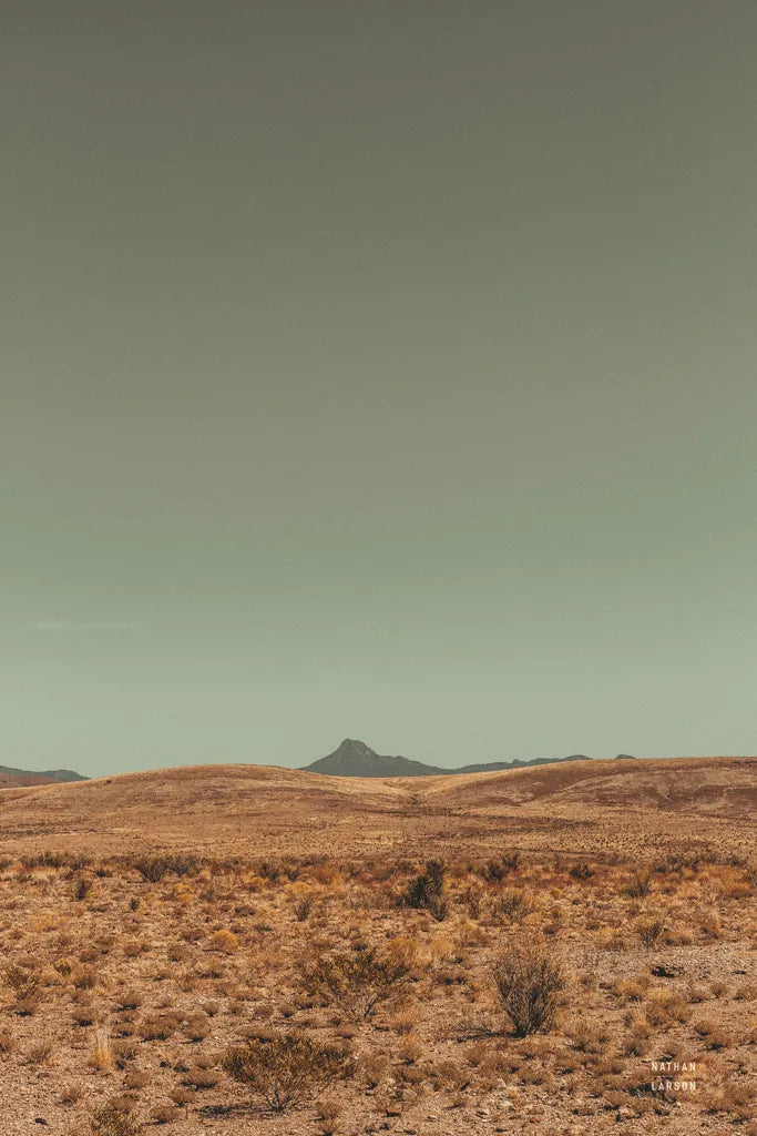 Welcome III by Nathan Larson. SKU 82427h. Archival Giclee Fine art print for wall decor.