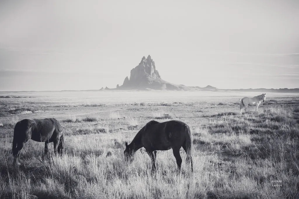 Western Range by Nathan Larson. SKU 95338i. Archival Giclee Fine art print for wall decor.