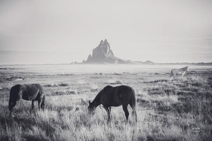 Western Range by Nathan Larson. SKU 95338i. Archival Giclee Fine art print for wall decor.