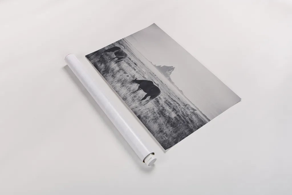 Western Range by Nathan Larson. shown as a rolled paper print. Available as archival giclee rolled canvas, fine art paper, or poster print. SKU 95338i.