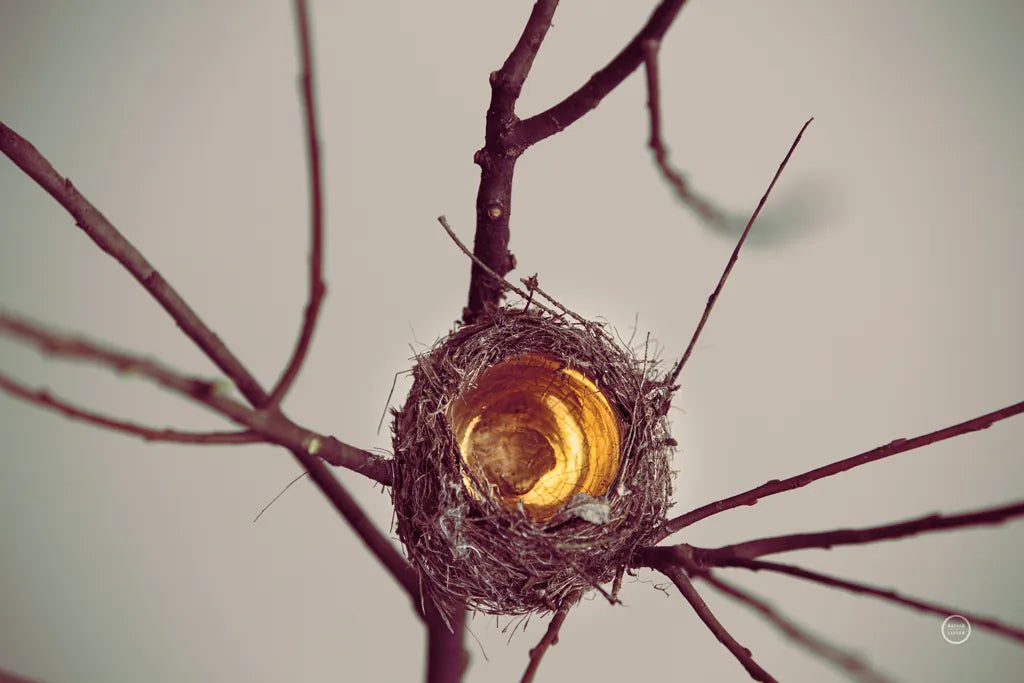 What is Golden by Nathan Larson. SKU 72698i. Archival Giclee Fine art print for wall decor.