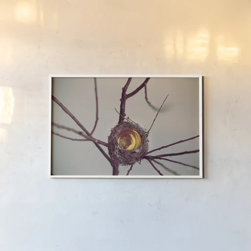 What is Golden by Nathan Larson. shown as a paper print in a white frame. Available as a archival giclee rolled canvas, fine art paper, or poster print. SKU 72698i.