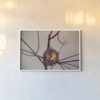 What is Golden by Nathan Larson. shown as a paper print in a white frame. Available as a archival giclee rolled canvas, fine art paper, or poster print. SKU 72698i.