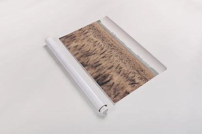 Wheat in Summer by Nathan Larson. shown as a rolled paper print. Available as archival giclee rolled canvas, fine art paper, or poster print. SKU 101591i.