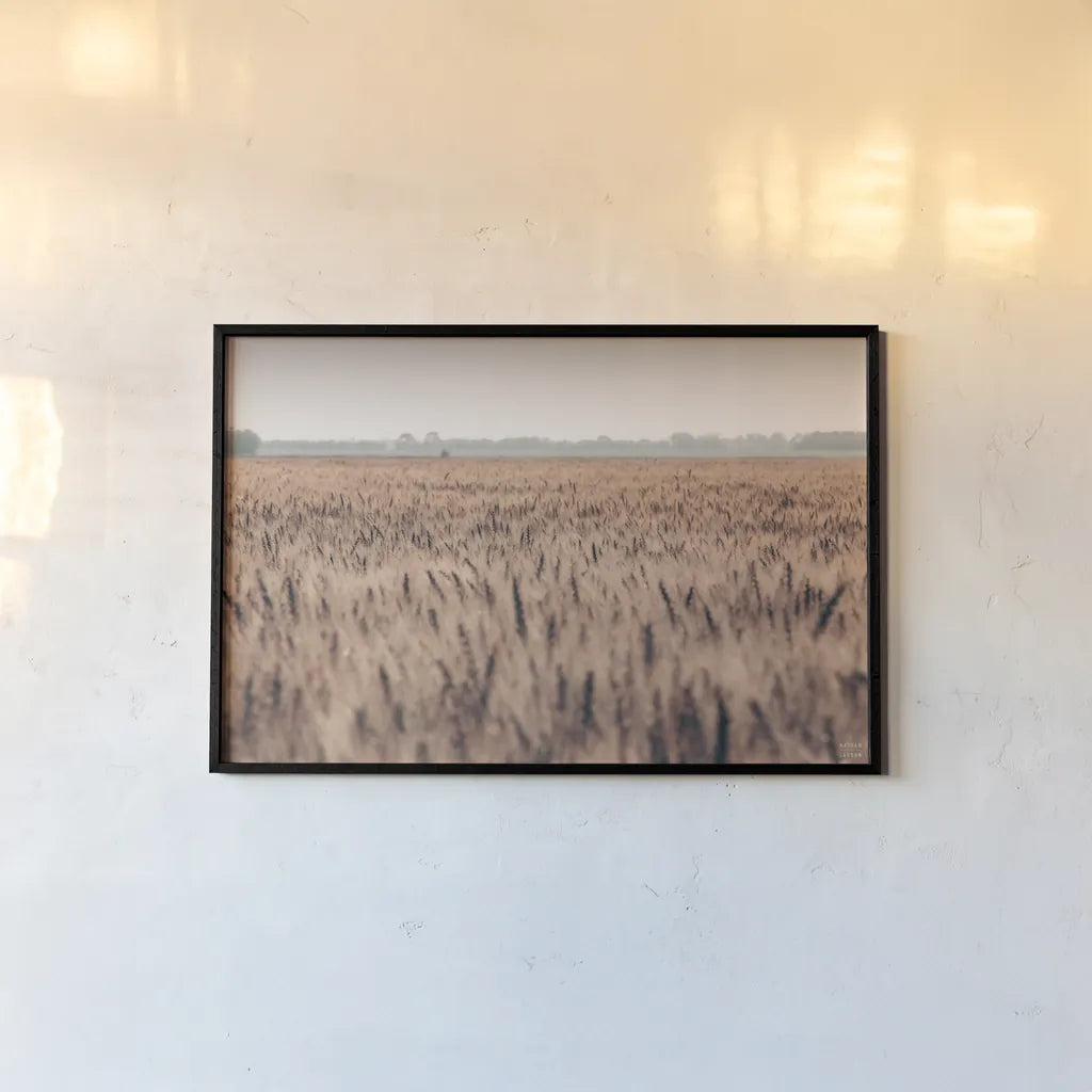 Wheat in Summer by Nathan Larson. shown as a paper print in a black flame. Available as a archival giclee rolled canvas, fine art paper, or poster print. SKU 101591i.