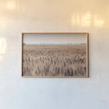 Wheat in Summer by Nathan Larson. shown as a paper print in a natural frame. Available as a archival giclee rolled canvas, fine art paper, or poster print. SKU 101591i.