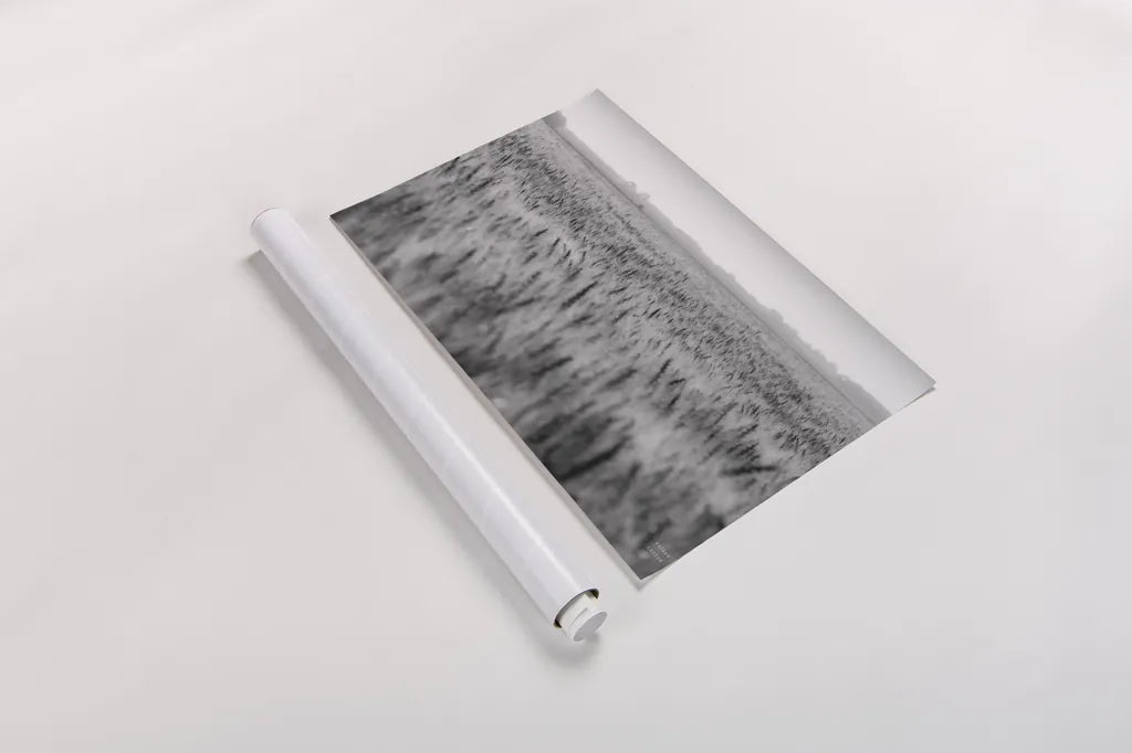Wheat in Summer BW by Nathan Larson. shown as a rolled paper print. Available as archival giclee rolled canvas, fine art paper, or poster print. SKU 101592i.