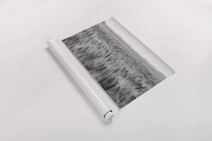 Wheat in Summer BW by Nathan Larson. shown as a rolled paper print. Available as archival giclee rolled canvas, fine art paper, or poster print. SKU 101592i.