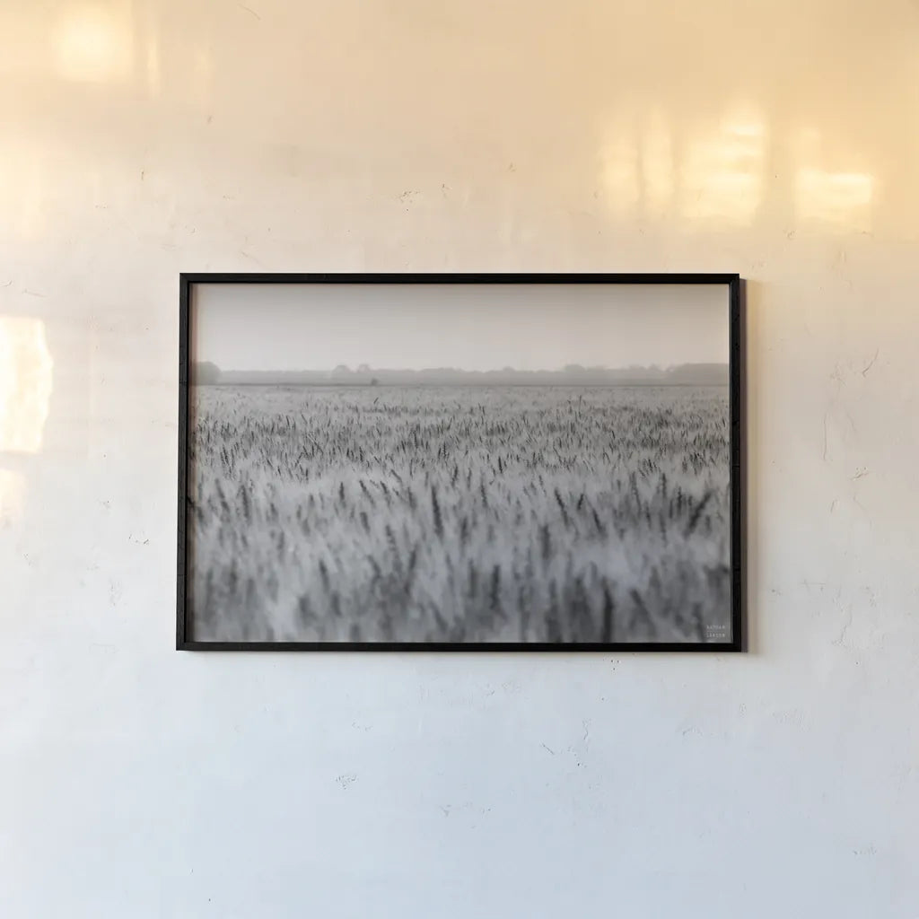 Wheat in Summer BW by Nathan Larson. shown as a paper print in a black flame. Available as a archival giclee rolled canvas, fine art paper, or poster print. SKU 101592i.