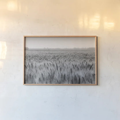 Wheat in Summer BW by Nathan Larson. shown as a paper print in a natural frame. Available as a archival giclee rolled canvas, fine art paper, or poster print. SKU 101592i.