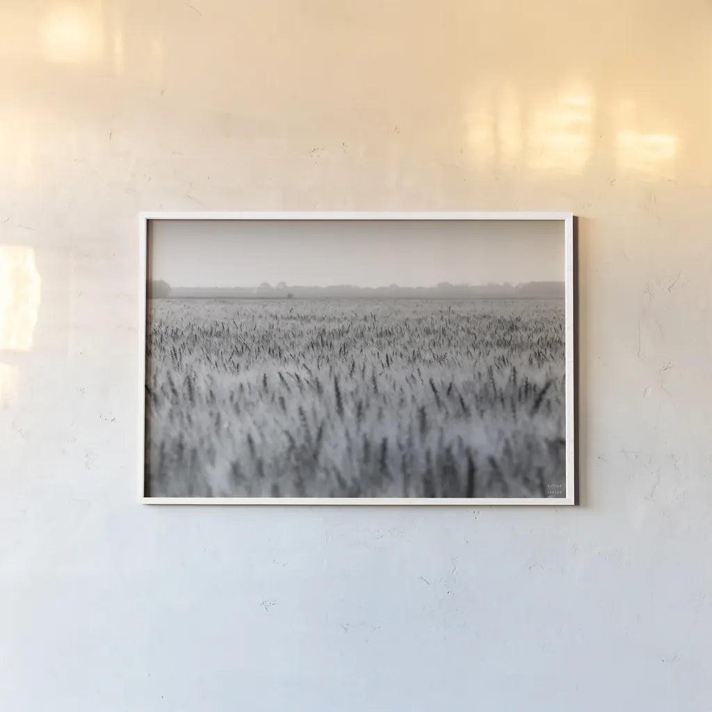 Wheat in Summer BW by Nathan Larson. shown as a paper print in a white frame. Available as a archival giclee rolled canvas, fine art paper, or poster print. SKU 101592i.
