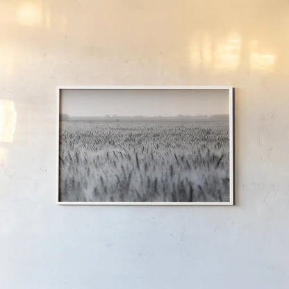 Wheat in Summer BW by Nathan Larson. shown as a paper print in a white frame. Available as a archival giclee rolled canvas, fine art paper, or poster print. SKU 101592i.
