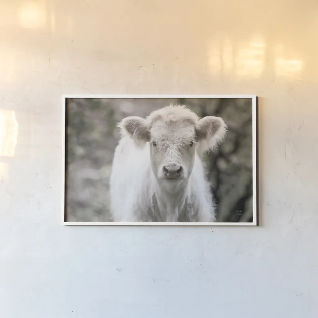 White Calf by Nathan Larson. shown as a paper print in a white frame. Available as a archival giclee rolled canvas, fine art paper, or poster print. SKU 82816i.