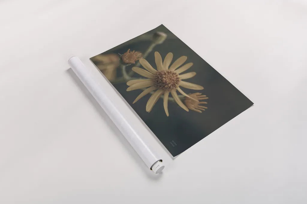 Wild Blooms II by Nathan Larson. shown as a rolled paper print. Available as archival giclee rolled canvas, fine art paper, or poster print. SKU 85771i.