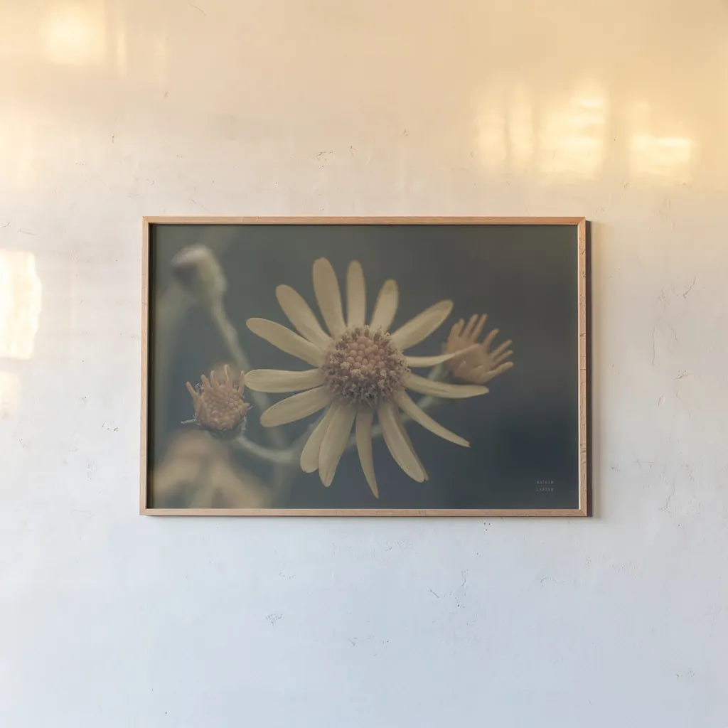 Wild Blooms II by Nathan Larson. shown as a paper print in a natural frame. Available as a archival giclee rolled canvas, fine art paper, or poster print. SKU 85771i.