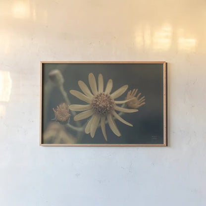 Wild Blooms II by Nathan Larson. shown as a paper print in a natural frame. Available as a archival giclee rolled canvas, fine art paper, or poster print. SKU 85771i.