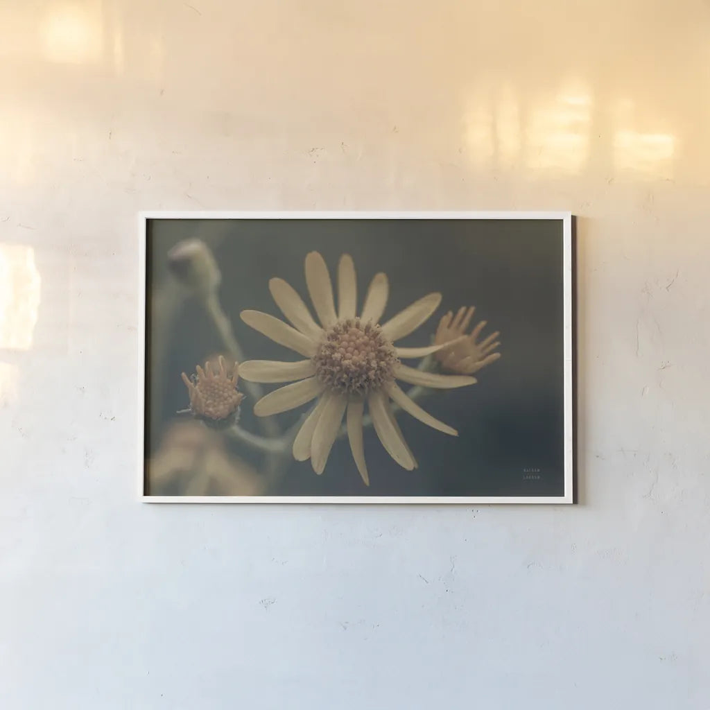 Wild Blooms II by Nathan Larson. shown as a paper print in a white frame. Available as a archival giclee rolled canvas, fine art paper, or poster print. SKU 85771i.