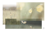 Wildflower Collage by Nathan Larson. SKU 72700i. Archival Giclee Fine art print for wall decor.
