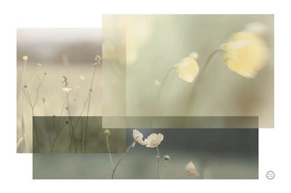 Wildflower Collage by Nathan Larson. SKU 72700i. Archival Giclee Fine art print for wall decor.