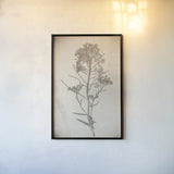 Wildflower Journal Vintage I by Nathan Larson. shown as a paper print in a black flame. Available as a archival giclee rolled canvas, fine art paper, or poster print. SKU 97519h.