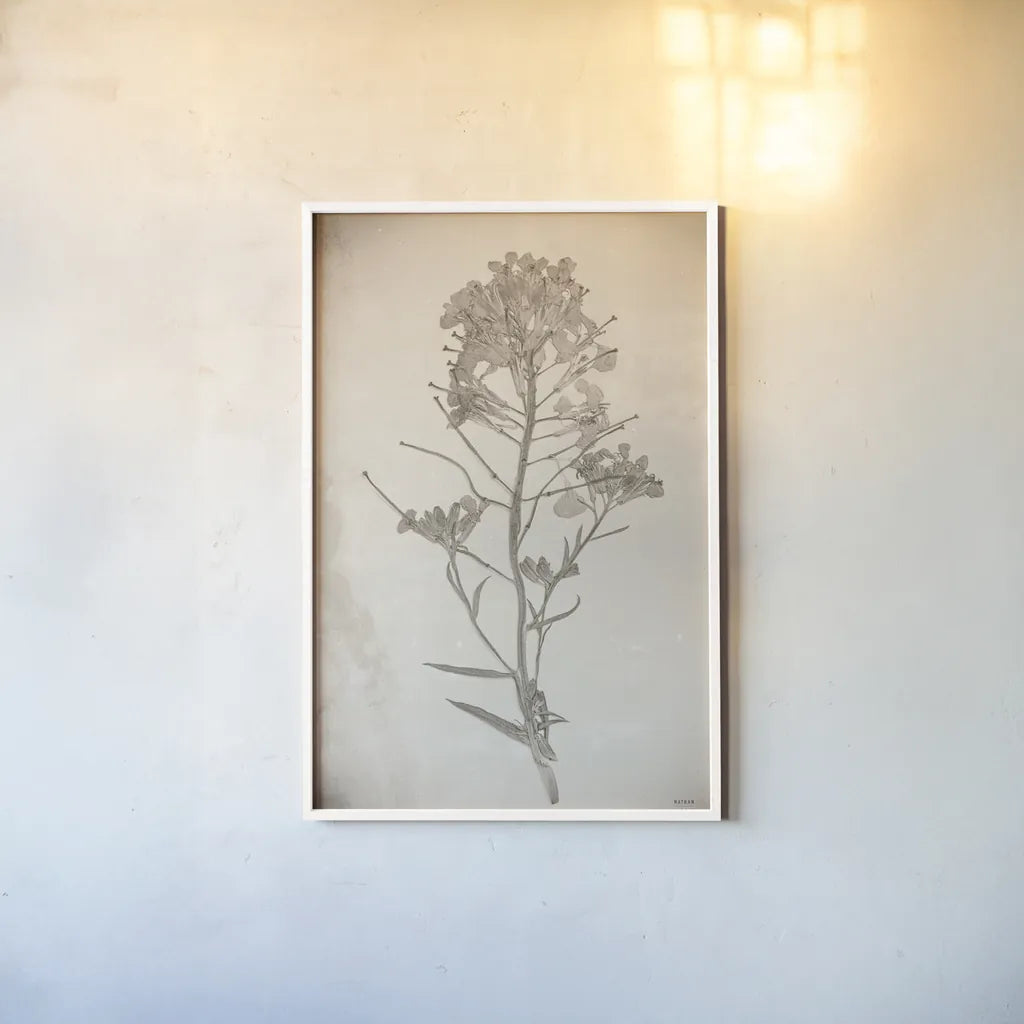 Wildflower Journal Vintage I by Nathan Larson. shown as a paper print in a white frame. Available as a archival giclee rolled canvas, fine art paper, or poster print. SKU 97519h.
