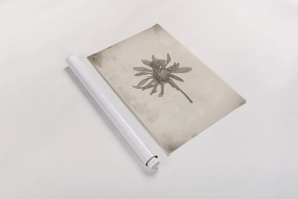 Wildflower Journal Vintage II by Nathan Larson. shown as a rolled paper print. Available as archival giclee rolled canvas, fine art paper, or poster print. SKU 97520h.