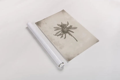 Wildflower Journal Vintage II by Nathan Larson. shown as a rolled paper print. Available as archival giclee rolled canvas, fine art paper, or poster print. SKU 97520h.