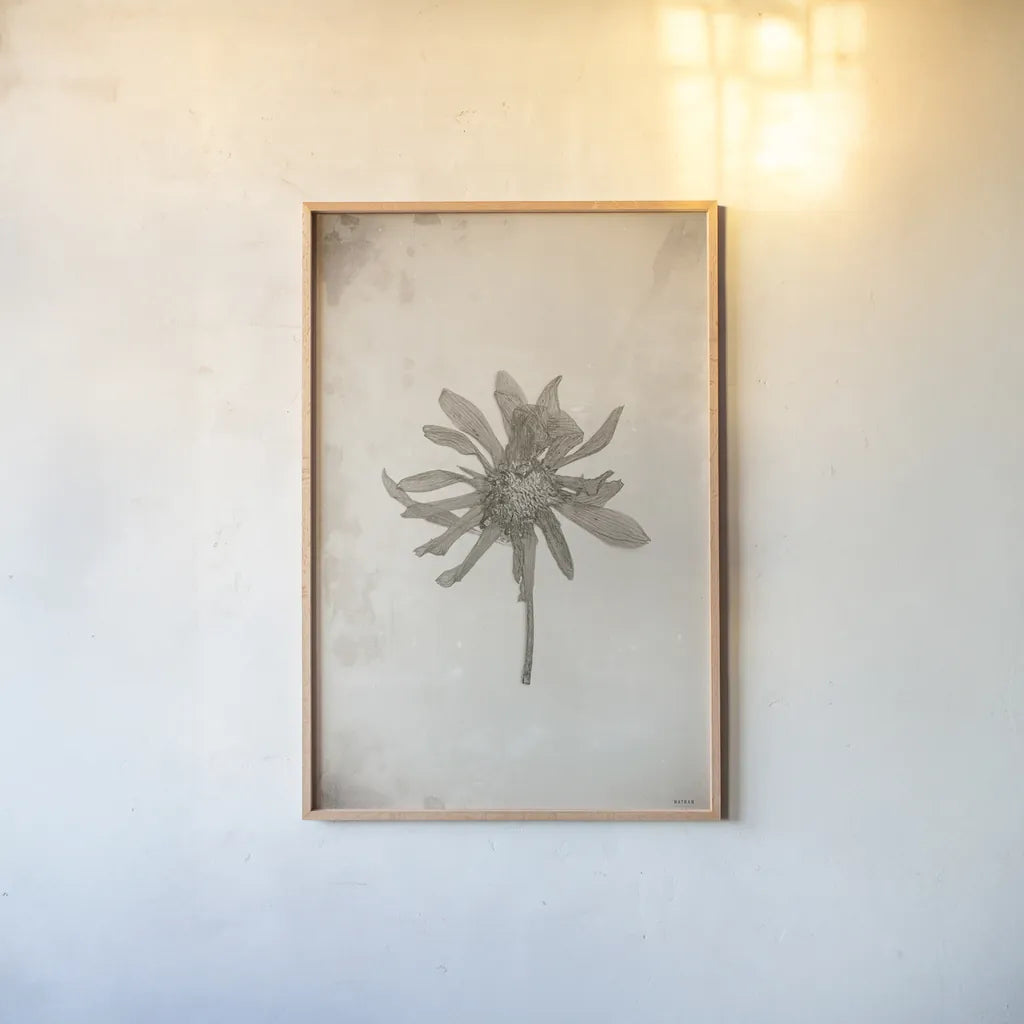 Wildflower Journal Vintage II by Nathan Larson. shown as a paper print in a natural frame. Available as a archival giclee rolled canvas, fine art paper, or poster print. SKU 97520h.