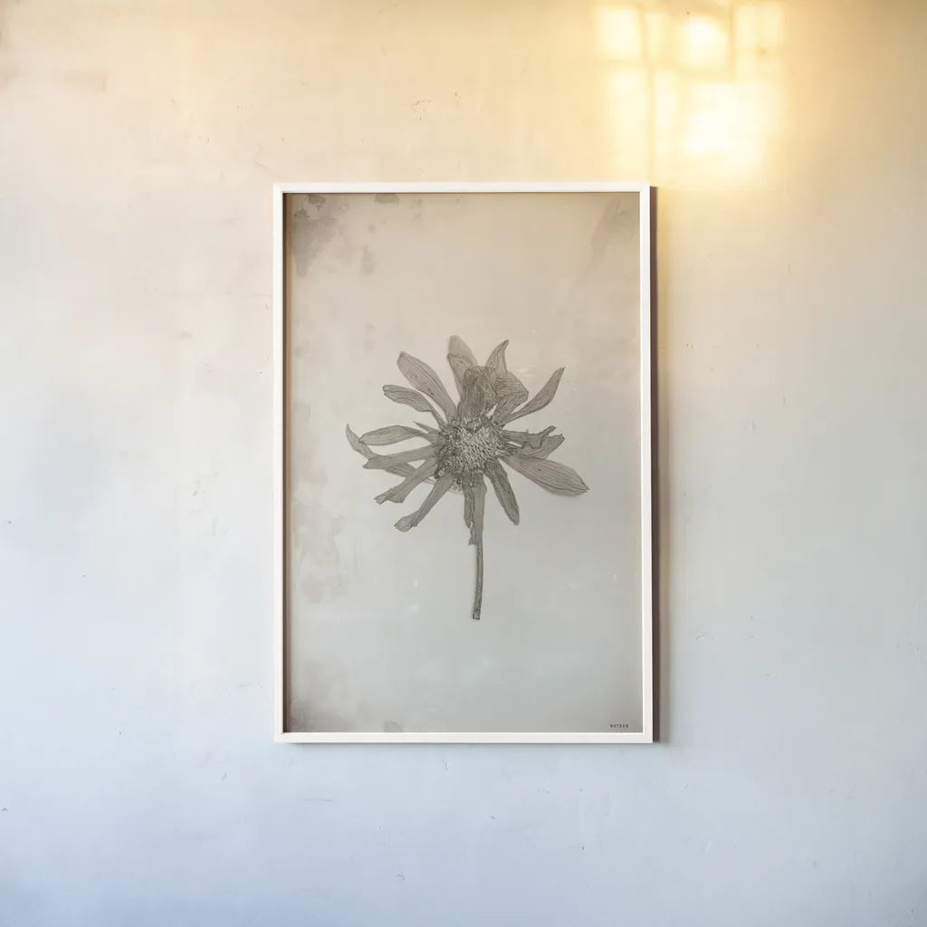Wildflower Journal Vintage II by Nathan Larson. shown as a paper print in a white frame. Available as a archival giclee rolled canvas, fine art paper, or poster print. SKU 97520h.