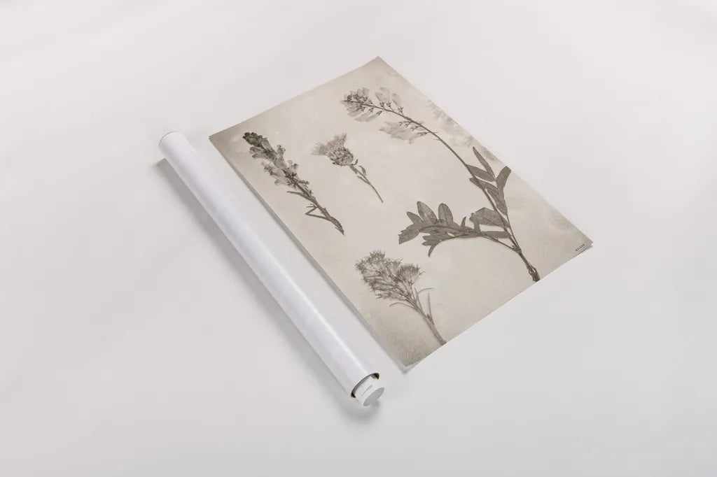 Wildflower Journal Vintage IX by Nathan Larson. shown as a rolled paper print. Available as archival giclee rolled canvas, fine art paper, or poster print. SKU 97527h.