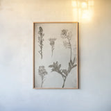 Wildflower Journal Vintage IX by Nathan Larson. shown as a paper print in a natural frame. Available as a archival giclee rolled canvas, fine art paper, or poster print. SKU 97527h.