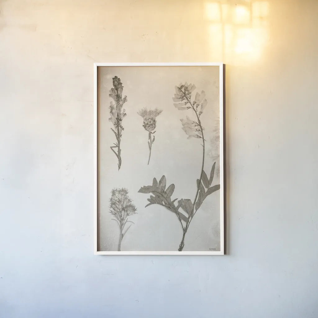 Wildflower Journal Vintage IX by Nathan Larson. shown as a paper print in a white frame. Available as a archival giclee rolled canvas, fine art paper, or poster print. SKU 97527h.