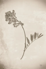 Wildflower Journal Vintage V by Nathan Larson. SKU 97523h. Archival Giclee Fine art print for wall decor.