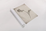 Wildflower Journal Vintage V by Nathan Larson. shown as a rolled paper print. Available as archival giclee rolled canvas, fine art paper, or poster print. SKU 97523h.