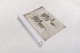 Wildflower Journal Vintage VII by Nathan Larson. shown as a rolled paper print. Available as archival giclee rolled canvas, fine art paper, or poster print. SKU 97525h.