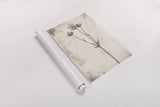 Wildflower Journal Vintage VIII by Nathan Larson. shown as a rolled paper print. Available as archival giclee rolled canvas, fine art paper, or poster print. SKU 97526h.