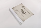Wildflower Journal Vintage X by Nathan Larson. shown as a rolled paper print. Available as archival giclee rolled canvas, fine art paper, or poster print. SKU 97528h.